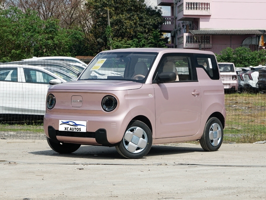 Geely Panda Mini Endurance Ev 200km 4 Seats and with Front Disc Rear Disc Brake System