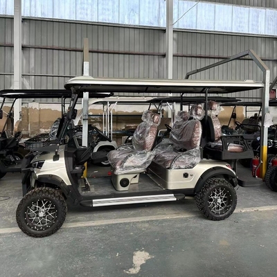 Lowest Priced Electric Golf Cart Car Mini ATV 4 6 Seater with Phosphoric Acid Battery
