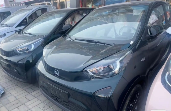 Chery Little Ant Electric Vehicle with Max Speed of 170km/h and 360Nm Maximum Torque