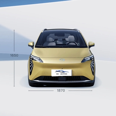 2023 Aion Y Series Electric Car 5 Door 5 Seat SUV with LED Headlight and 100% Electric