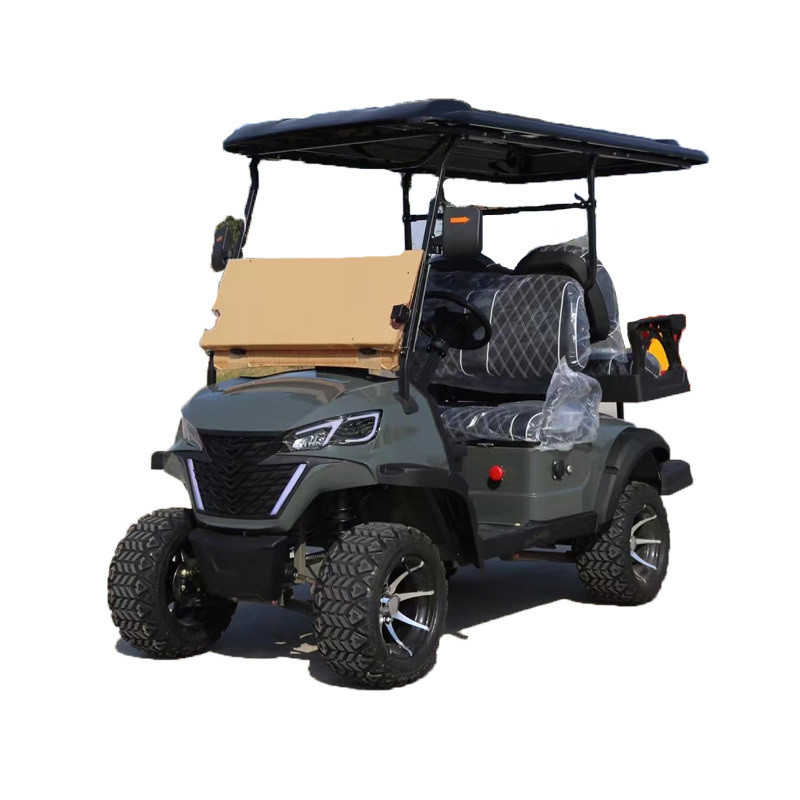 Lowest Priced Electric Golf Cart Car Mini ATV 4 6 Seater with Phosphoric Acid Battery