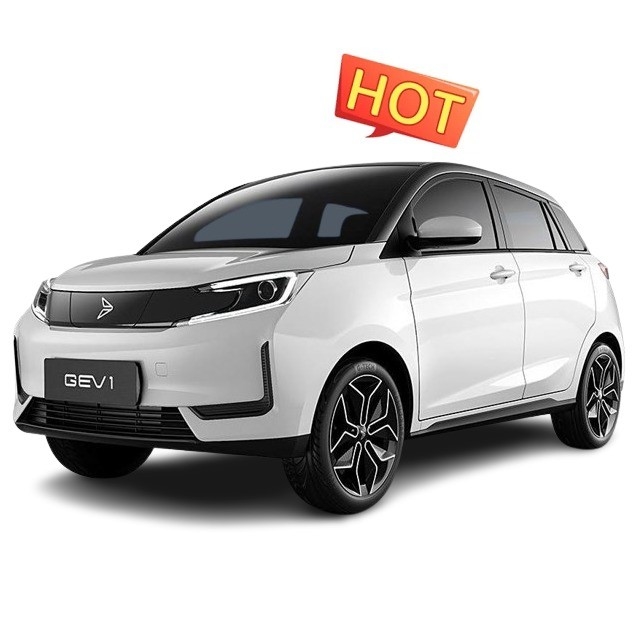 Xinte 2020 Qi Neng GEV 1 Euro VI 305KM 5-door Four-Seater Hatchback with Fast Charging